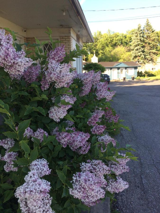 Motel Le Jardin Québec Exteriör bild